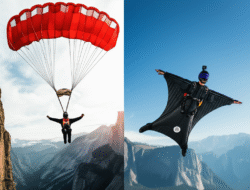 BASE Jumping vs Wingsuit Flying